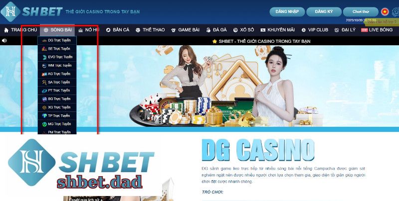 Casino