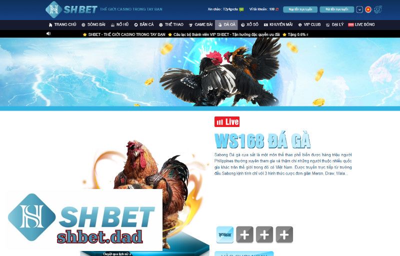 Đá Gà Shbet